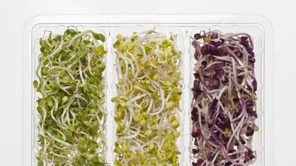 galleries/2011/12/30/most-effective-diets-for-2012-photos/most-effective-diets-2012-tease_bxpsf1