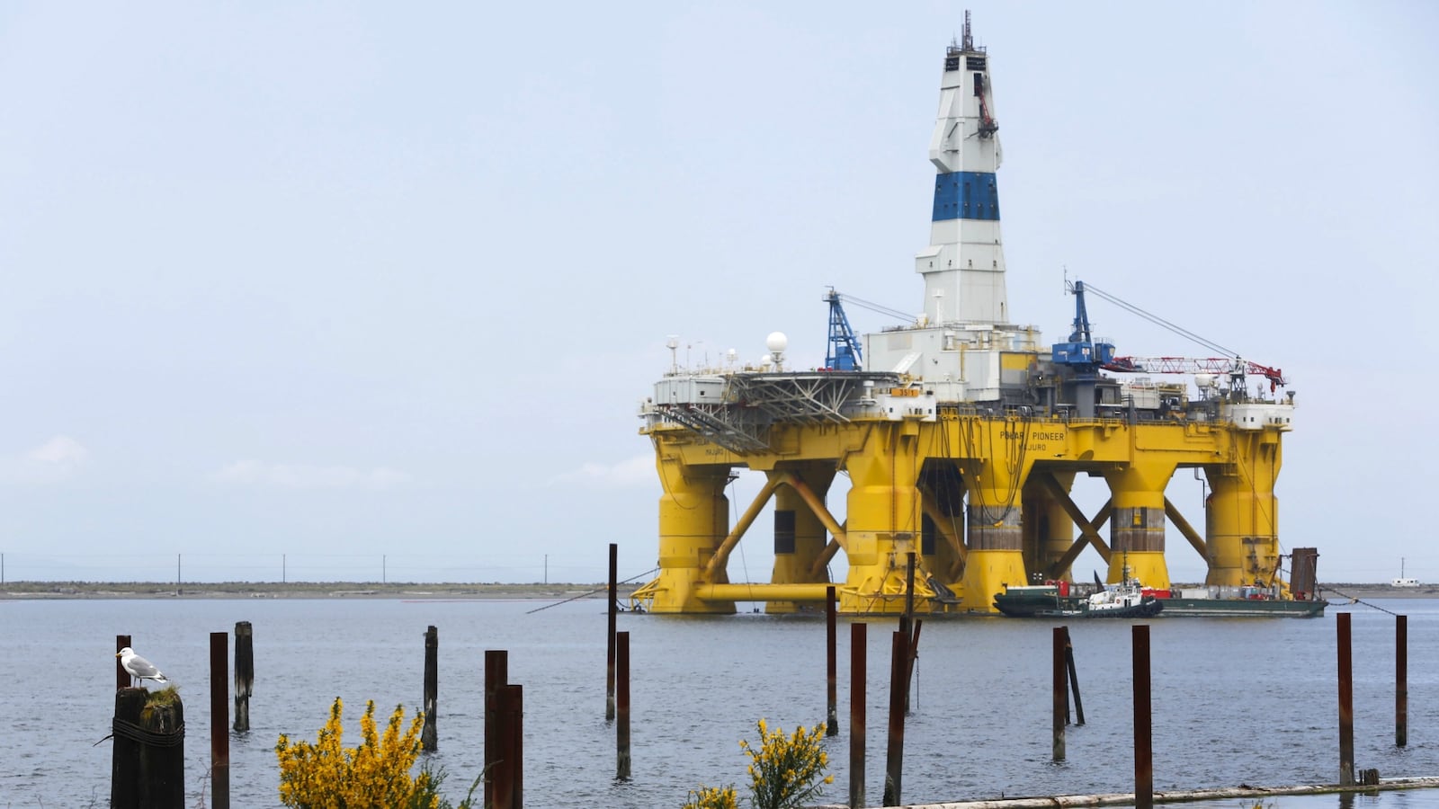 cheats/2016/12/20/obama-blocks-offshore-arctic-drilling/161220-obama-drilling-ban-cheat_dfdcel