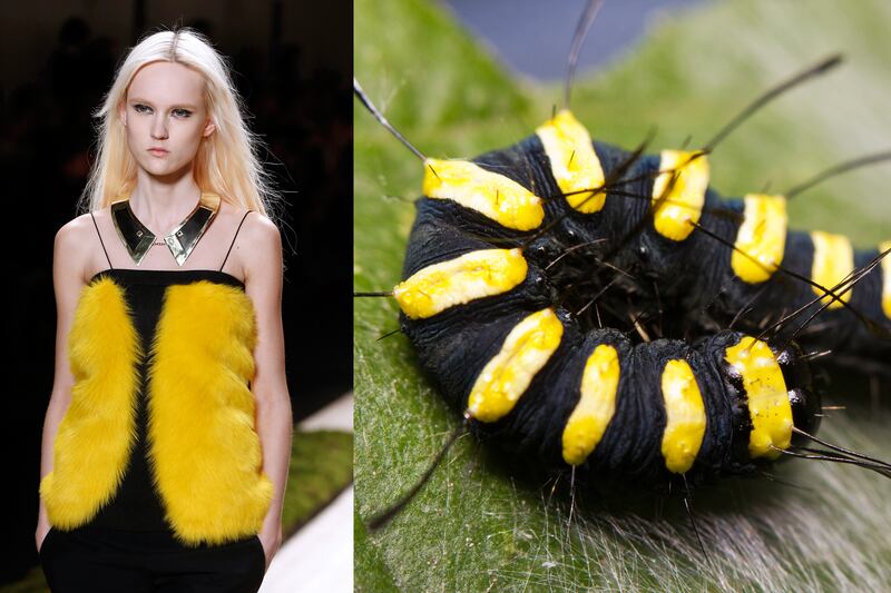 galleries/2014/03/06/fendi-lanvin-and-more-fashion-week-pieces-that-looked-like-animals/gal-2014-fashion-wild-3_hxcvjd