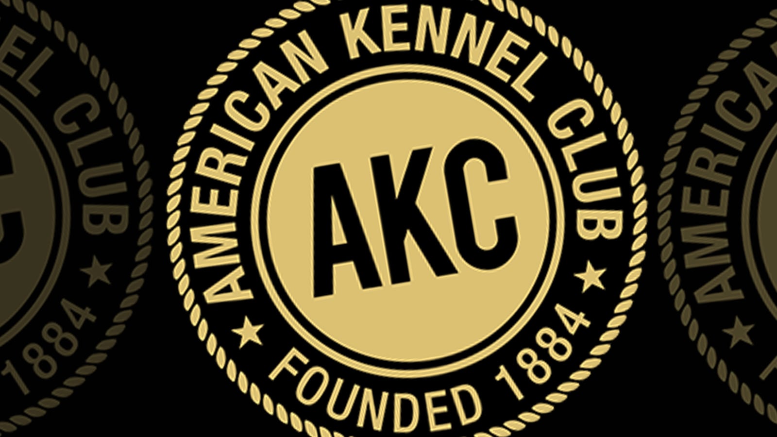 200630-tani-akc-tease_n38quc