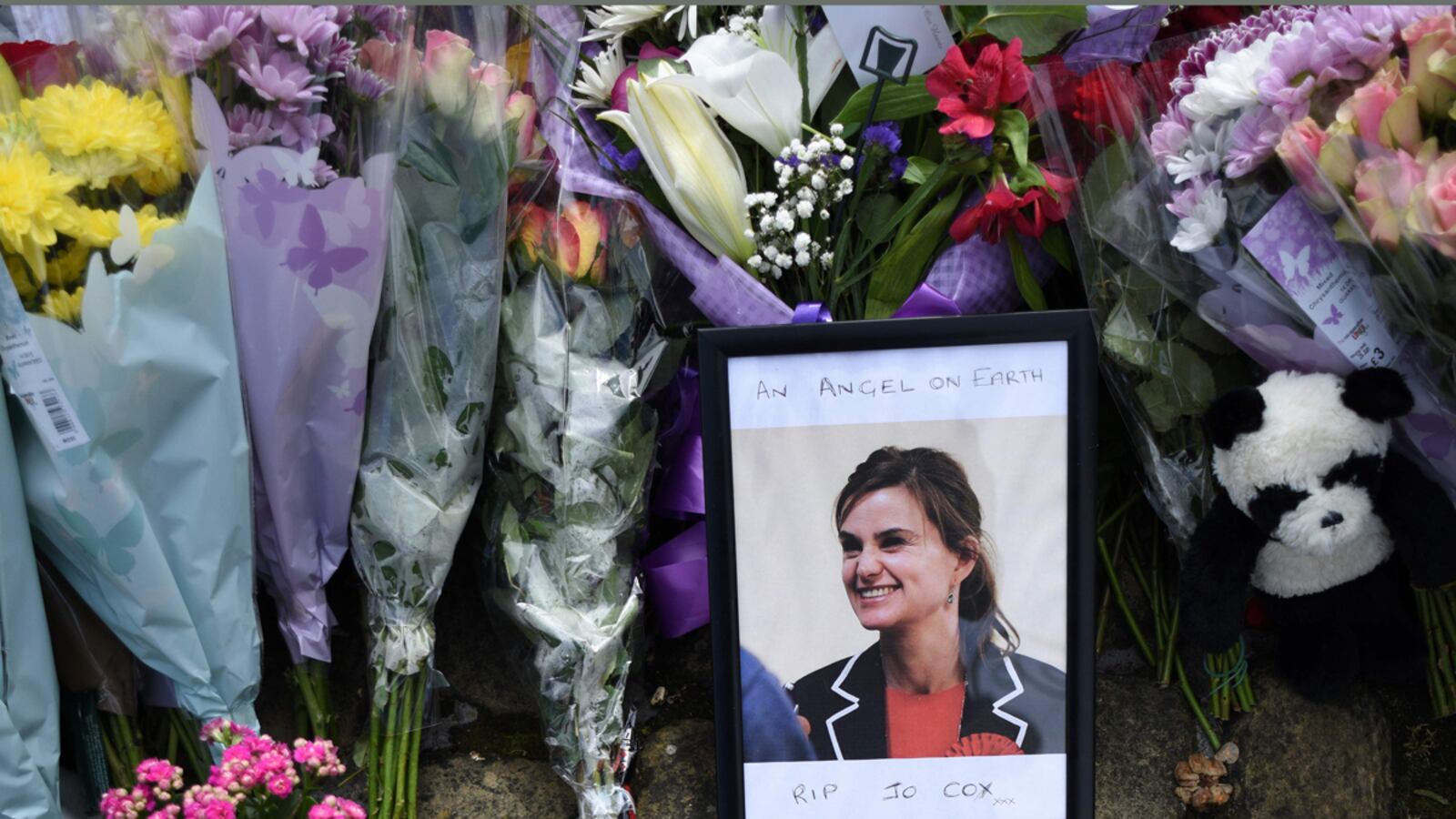 cheats/2016/11/23/thomas-mair-suspect-in-jo-cox-s-death-found-guilty/161123-thomas-mair-guilty-jo-cox-murder-cheat_ki4bfw