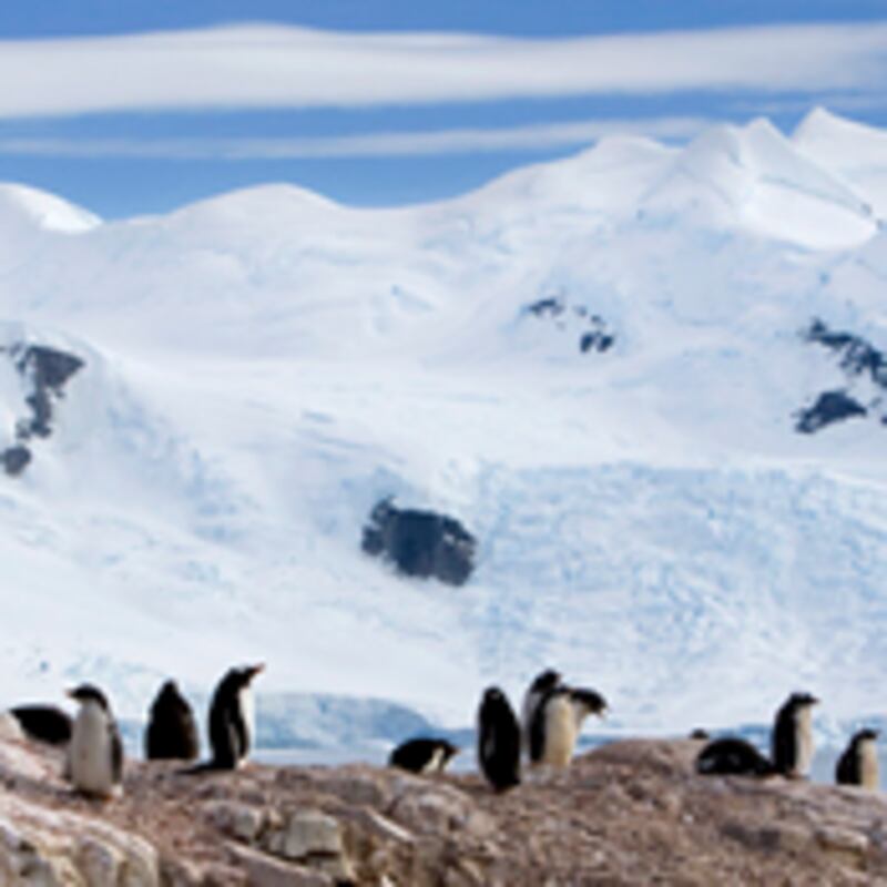 articles/2009/12/04/the-climate-showdown/tdb-copenhagen-climate-conference_67110_rw96hn