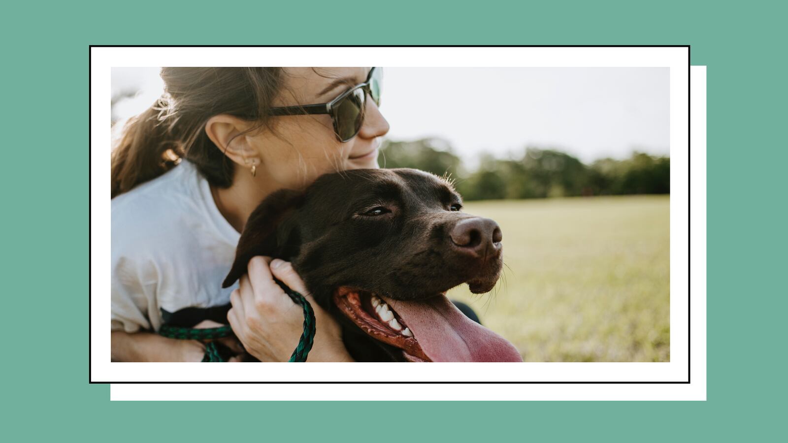 PetSmart_Dog_Food_and_Treats_Deals_qckayy