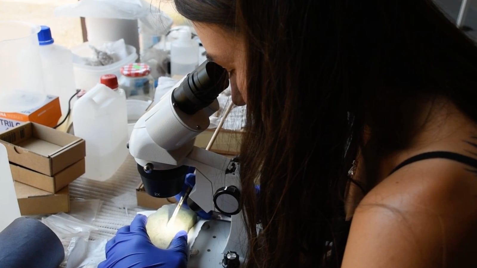 Screen_Shot_2022-07-29_at_8.04.09_PM_camio8