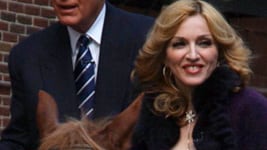 cheats/2009/04/19/horse-bucks-madonna/madonna-2_jjdqan