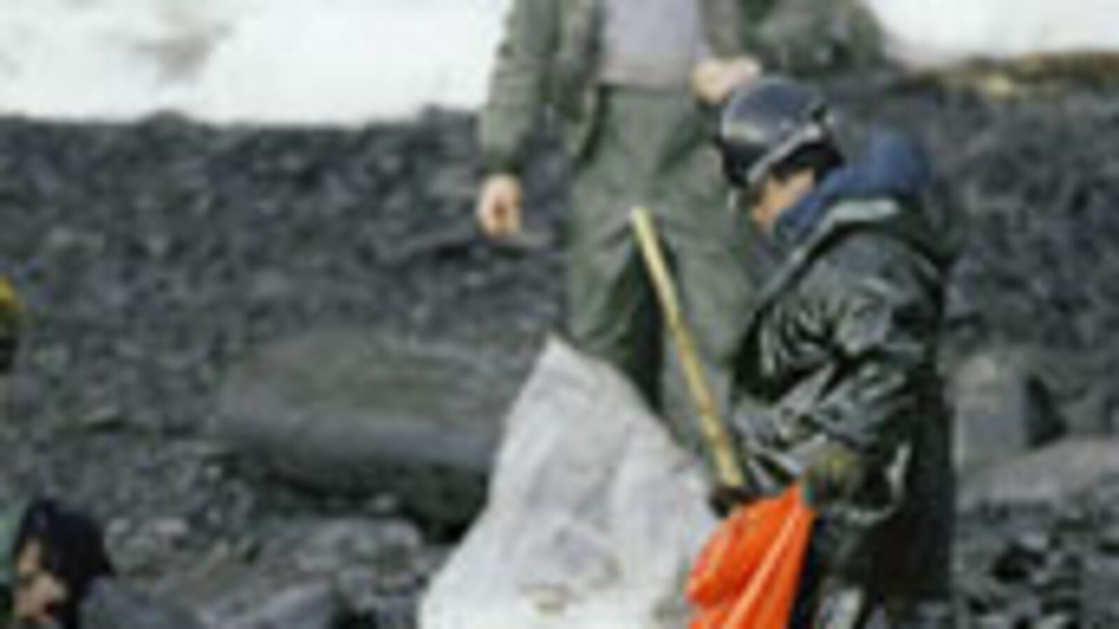 articles/2010/05/01/bps-looming-legal-battle/jacoexxon-valdez_97684_ewlee2