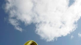 cheats/2009/01/24/fast-food-continent/mcdonalds_bs9ue2