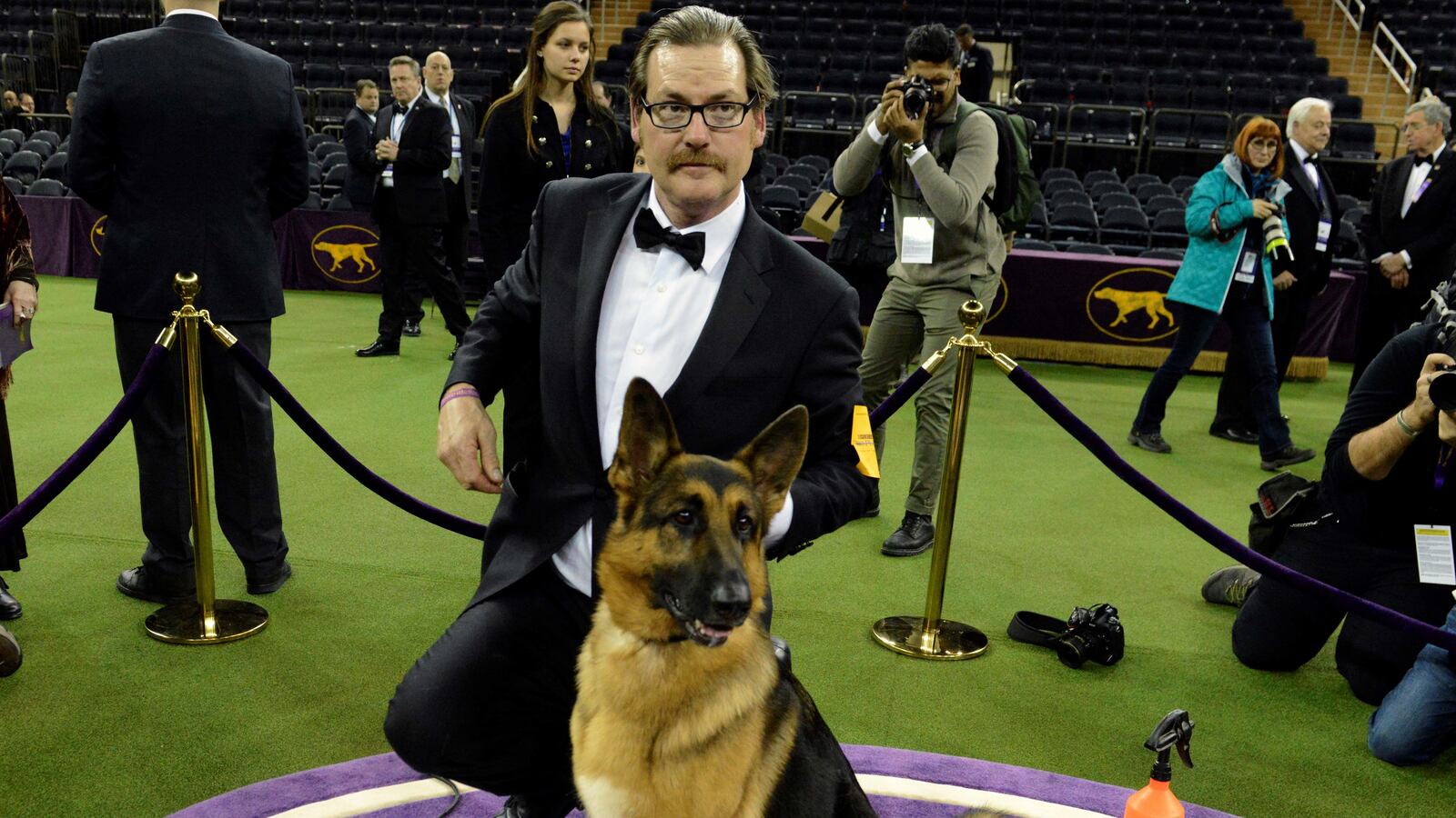 cheats/2017/02/15/rumor-german-shepherd-wins-at-westminster/120215-rumor-westminster-shepherd-winner_znvg7i