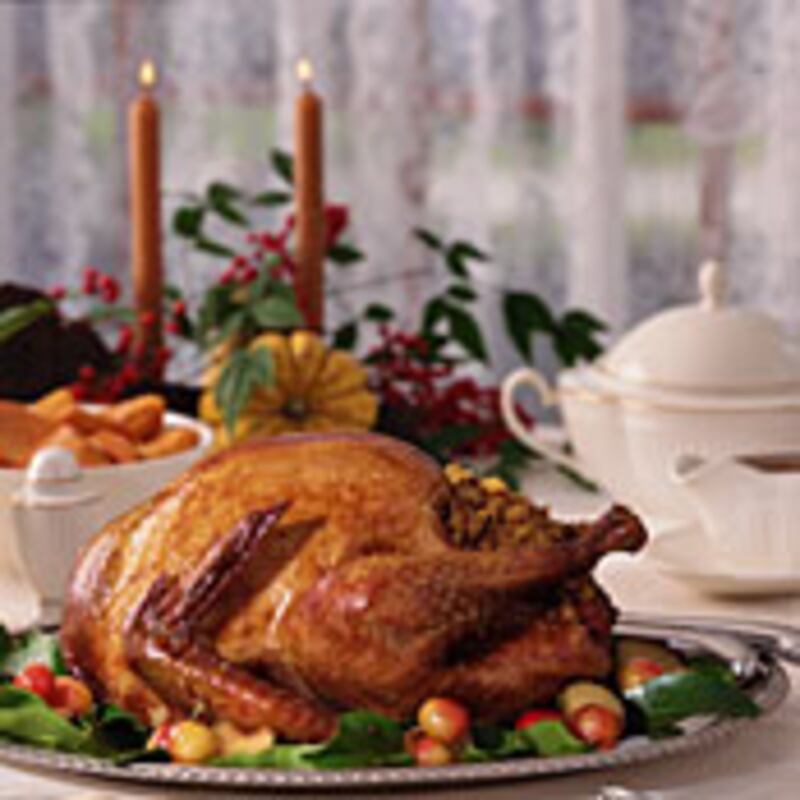 articles/2008/11/26/leftover-makeovers/thanksgiving-leftovers_5972_jdxfgz