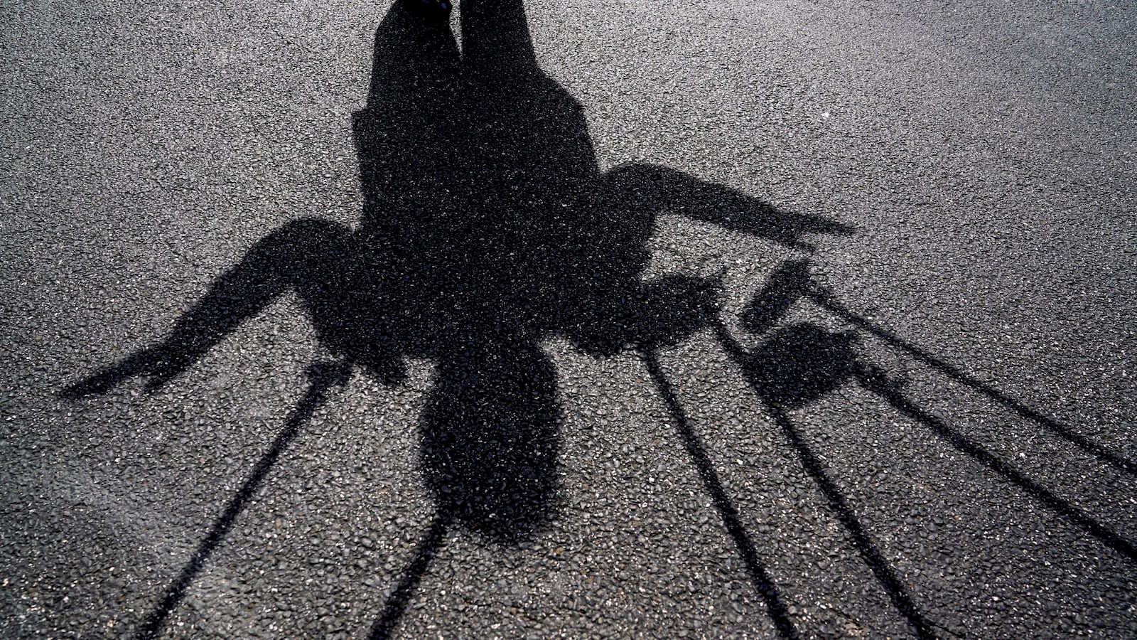 Microphones reach out to U.S. President Donald Trump who casts a shadow while speaking to reporters upon his departure from the White House in Washington, U.S., August 17, 2018.